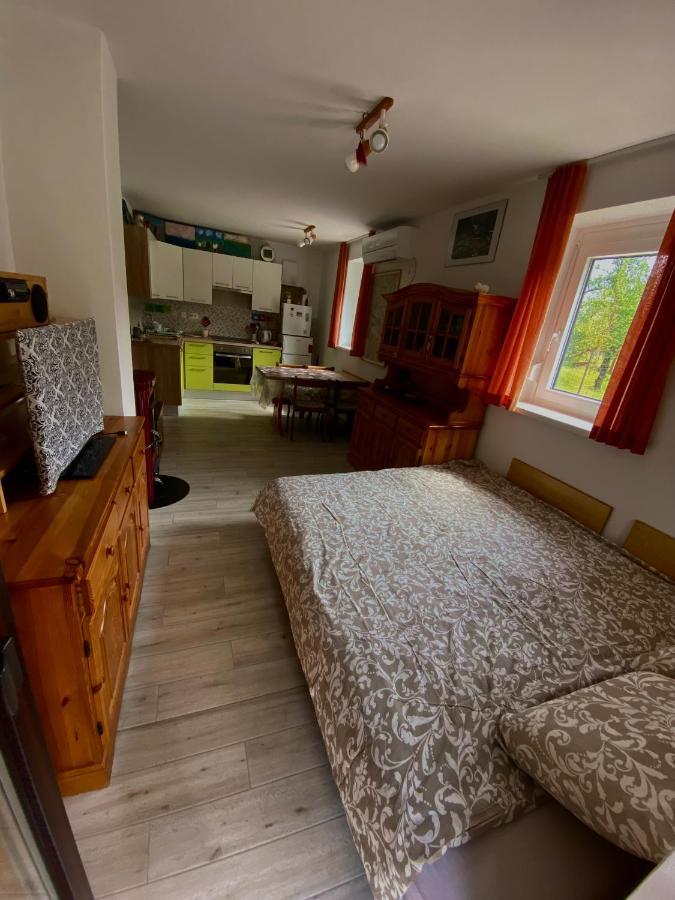 Apartma Emi Apartment